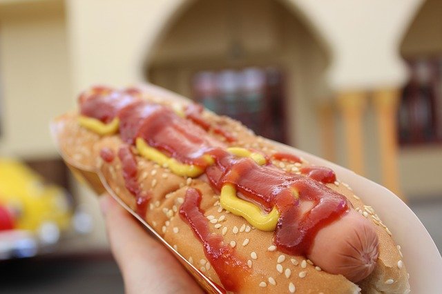 can cats safely eat hot dogs?